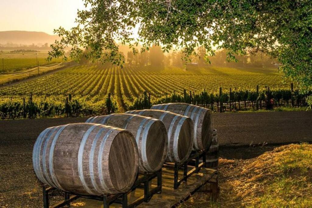 The Container Retreat @ 290 Wine Trail #9 Get Away Today! Hye Zewnętrze zdjęcie